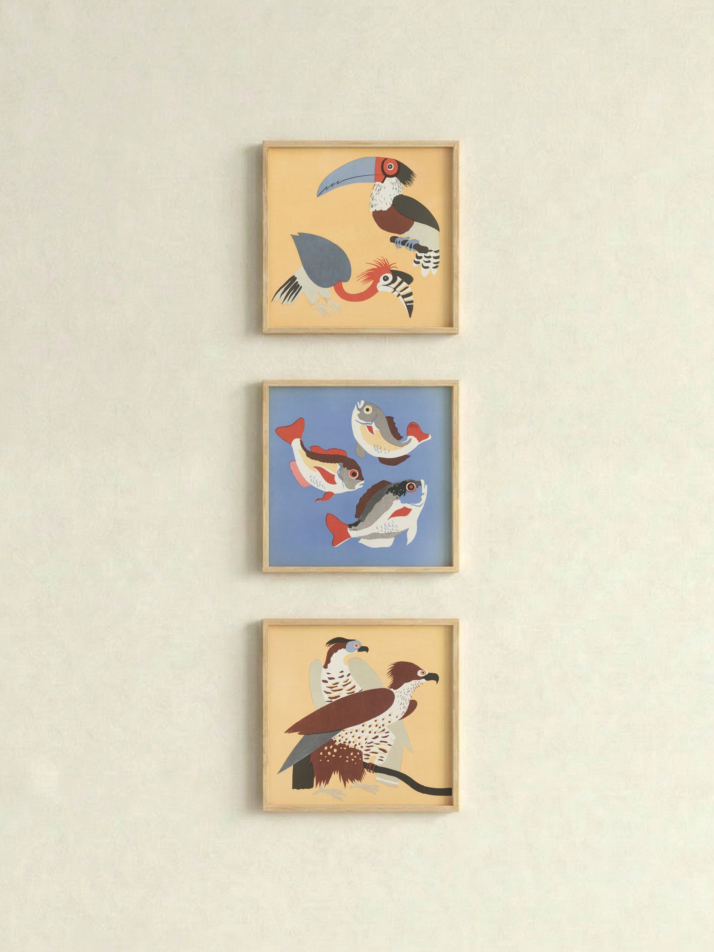 FEATHERS AND FINS